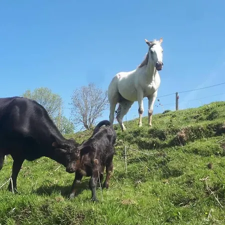 Macquart P.o.a. Ranch De 2 à 8 Pers