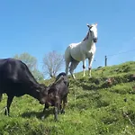 Macquart P.o.a. Ranch De 2 A 8 Pers