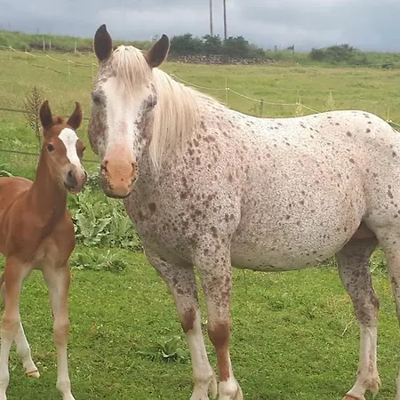 Macquart P.o.a. Ranch De 2 A 8 Pers *