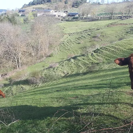 Macquart P.o.a. Ranch De 2 A 8 Pers * Saint-Martin-de-Fugeres