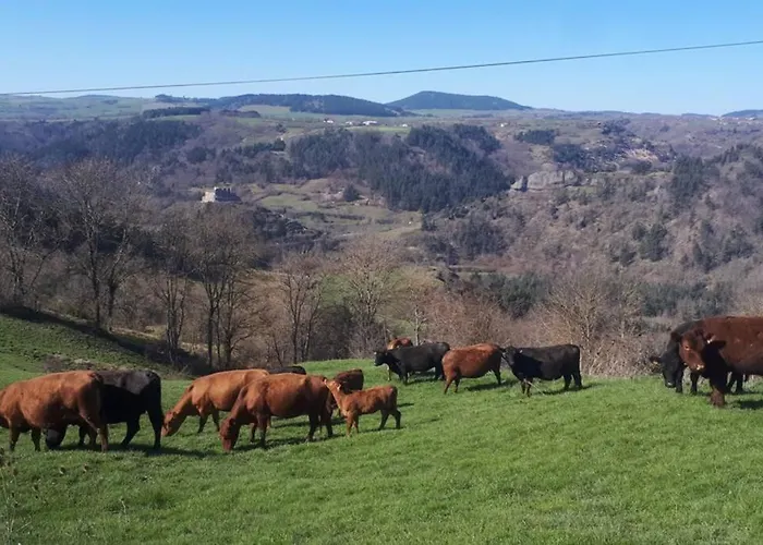 Macquart P.o.a. Ranch De 2 A 8 Pers Holiday home Saint-Martin-de-Fugeres