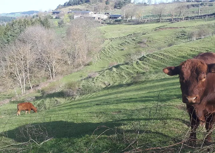 Macquart P.o.a. Ranch De 2 A 8 Pers * Saint-Martin-de-Fugeres